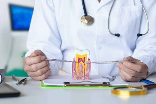 Best Emergency Treatment for Dental Infections or Abscesses in Warm Mineral Springs, FL